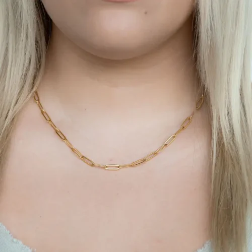 Gold paperclip chain necklace.