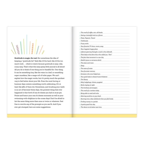Gratitude journal prompts and suggestions.