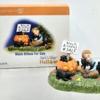 Black Kittens For Sale