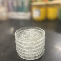 Princess House Cut Crystal Coasters (Set of 6)