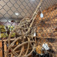 Rug Beaters (Set of 3)