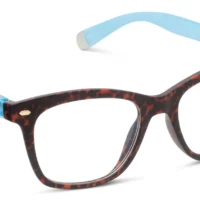 Peepers Readers- Sinclair: Leopard Tortoise