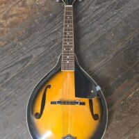 Appalachian Mandolin w/case
