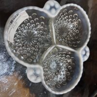 Hobnail Dish Opalescent