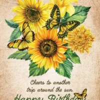 Happy Birthday - Sunflower - Mammoth Sunflower Seed Packets