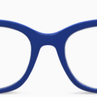 Peepers "Bee" Readers