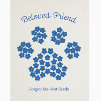 Beloved Friend- Forget Me Not Seed Packet