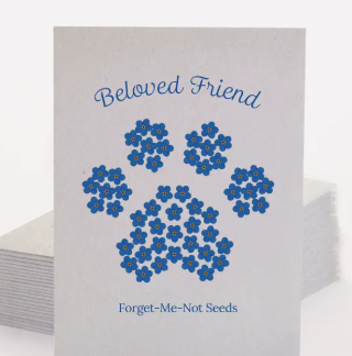 Beloved Friend- Forget Me Not Seed Packet - Image 3
