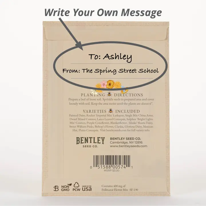 Bee Kind- Pollinator Wildflower Mix Seed Packet - Image 3