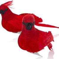Majestic Cardinal Decor Clips