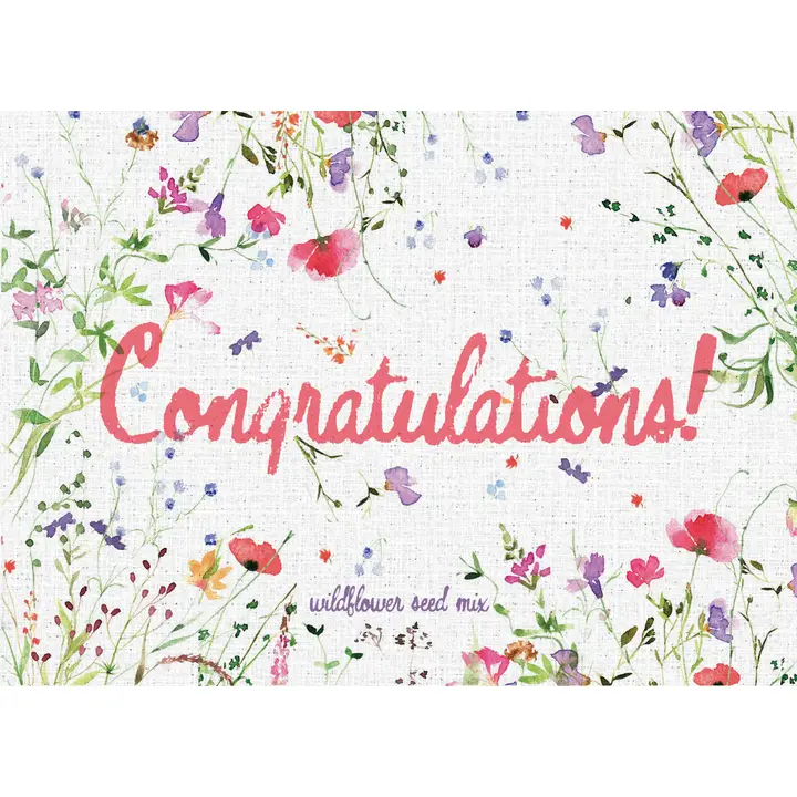 Congratulations- Wildflower Mix Seed Packet