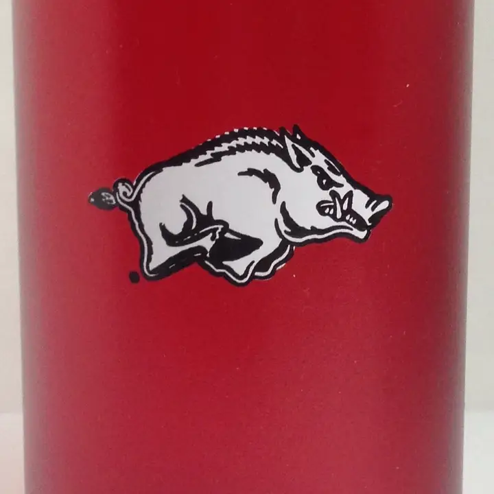 Arkansas Hogs Ruby Tumblers